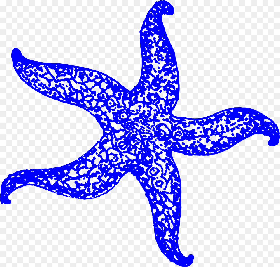 Starfish Clipart, Animal, Sea Life, Invertebrate Free Transparent Png