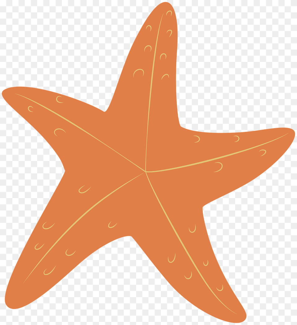 Starfish Clipart, Animal, Sea Life, Invertebrate, Fish Free Png