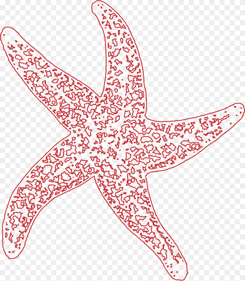 Starfish Clipart, Animal, Invertebrate, Sea Life, Fish Free Png Download