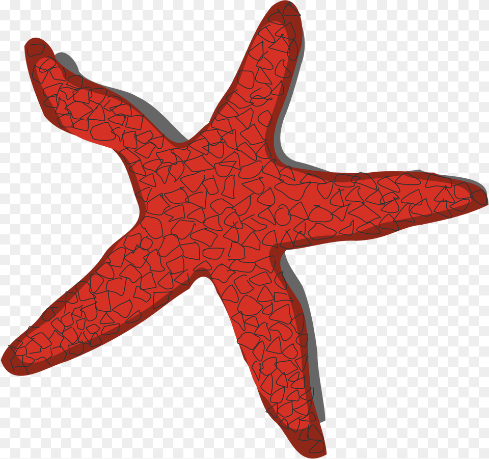 Starfish Clipart, Animal, Sea Life, Invertebrate, Reptile Free Png