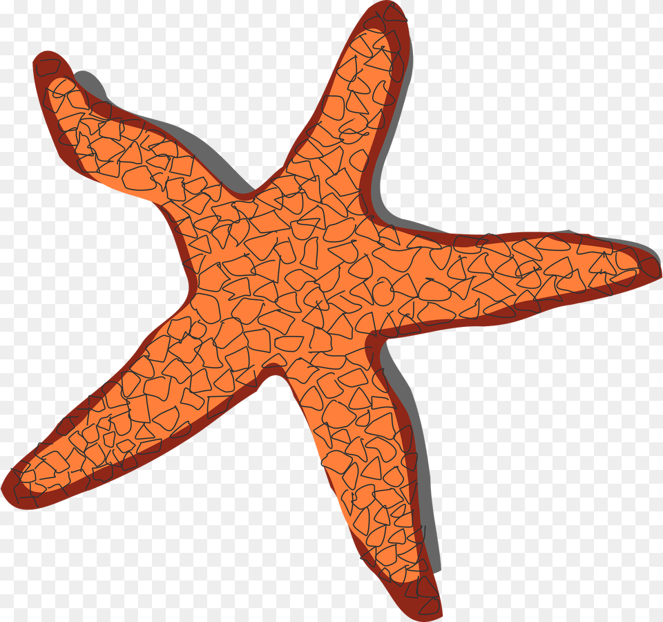 Starfish Clipart, Animal, Sea Life, Invertebrate, Reptile Free Transparent Png