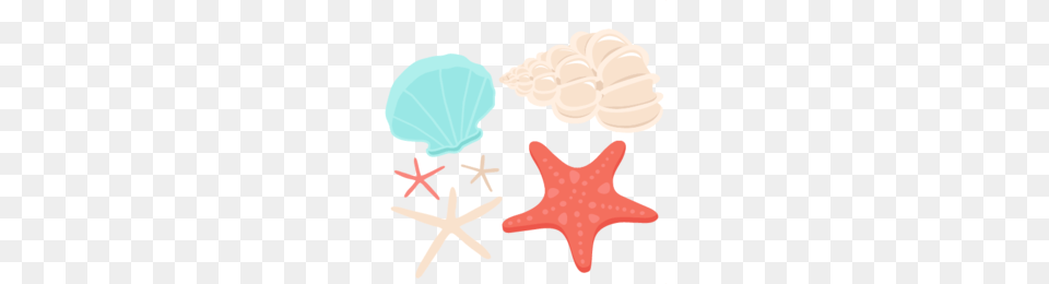 Starfish Clipart, Animal, Sea Life, Person, Invertebrate Png Image