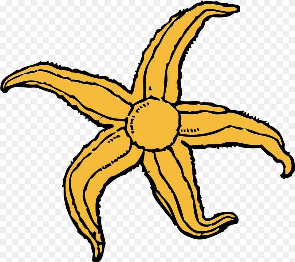 Starfish Clipart, Banana, Food, Fruit, Plant Png Image