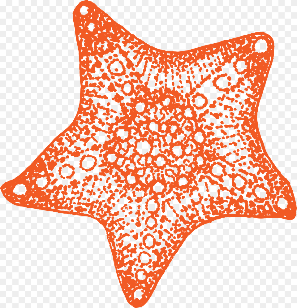 Starfish Clipart, Animal, Sea Life, Invertebrate Png Image