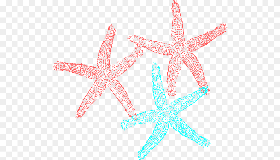 Starfish Clipart Aqua Starfish Turquoise And Coral, Animal, Sea Life, Invertebrate Png Image