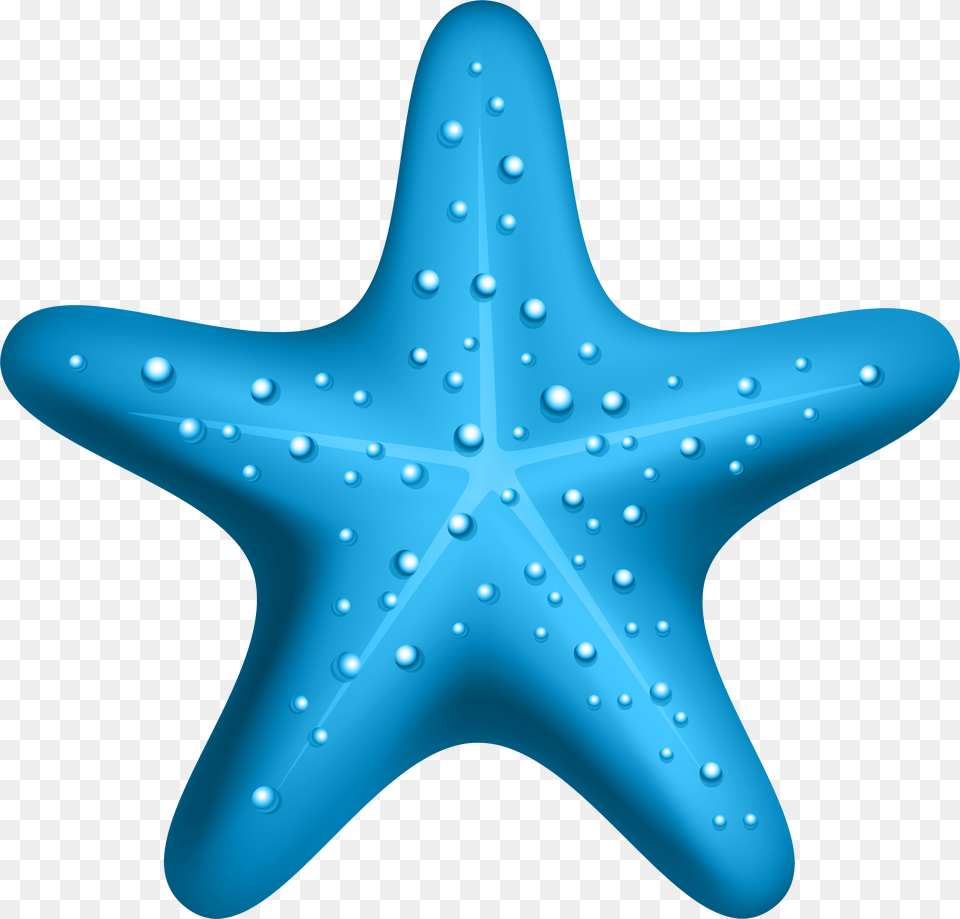 Starfish Clipart Blue Free Png Download