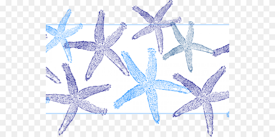 Starfish Clipart Blue Starfish Fish Clip Art, Animal, Invertebrate, Sea Life, Person Free Png Download