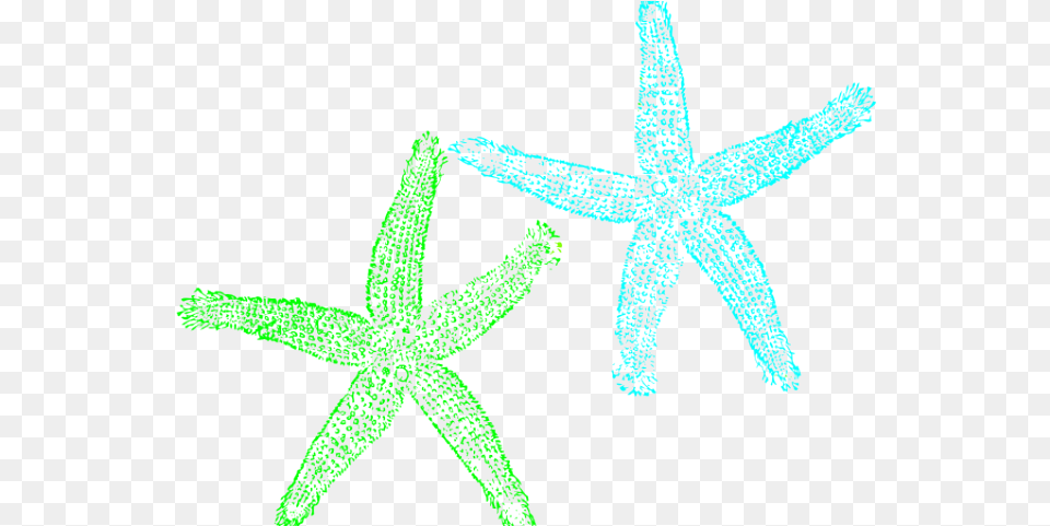 Starfish Clipart Dot, Animal, Sea Life, Invertebrate Png