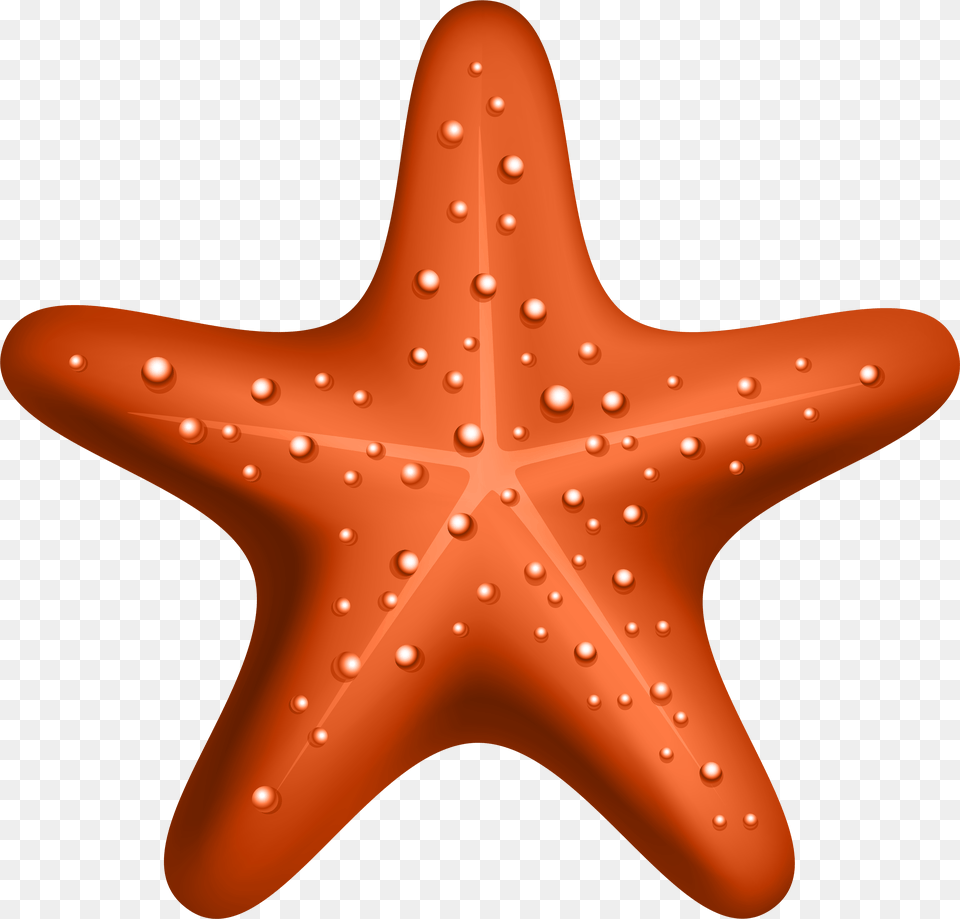 Starfish Clipart Hd Free Transparent Png