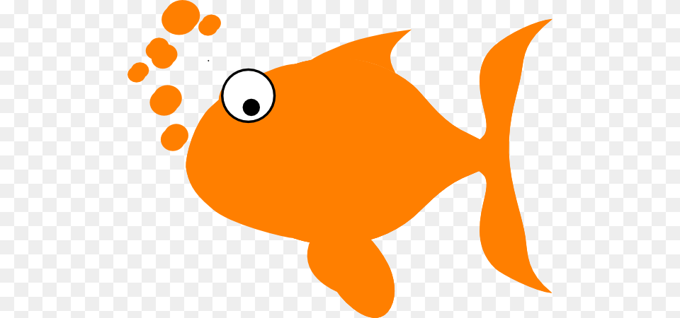 Starfish Clipart Kid, Animal, Fish, Sea Life, Goldfish Free Transparent Png
