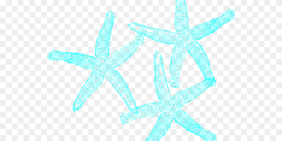 Starfish Clipart Mint Green Fish Clip Art, Animal, Invertebrate, Sea Life, Person Png Image