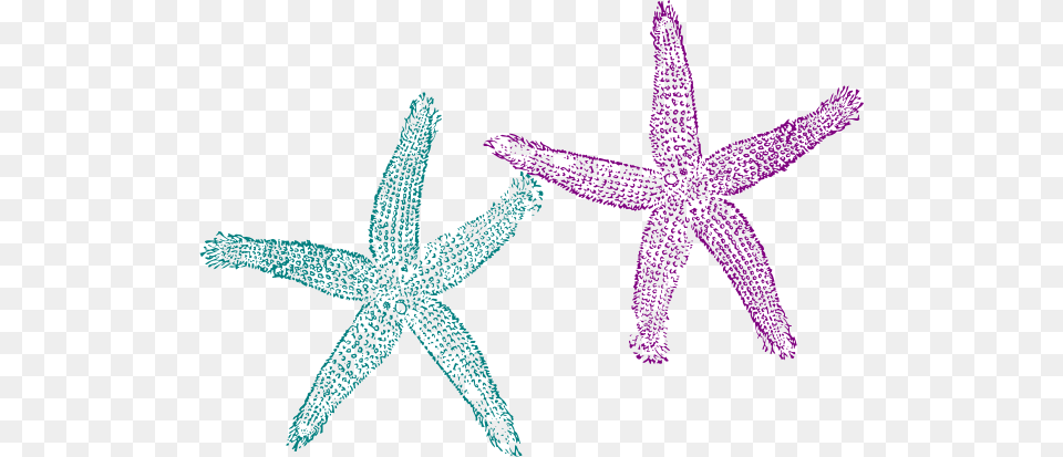 Starfish Clipart Orange Starfish, Animal, Sea Life, Invertebrate Free Png Download