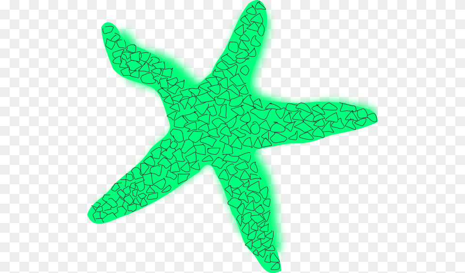 Starfish Clipart Star Fish Star Green Fish, Animal, Sea Life, Invertebrate, Dinosaur Png