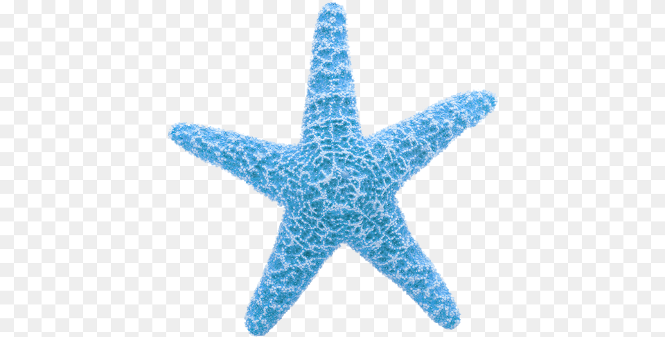 Starfish Clipart Starfish Animation, Animal, Sea Life, Invertebrate, Fish Free Png Download
