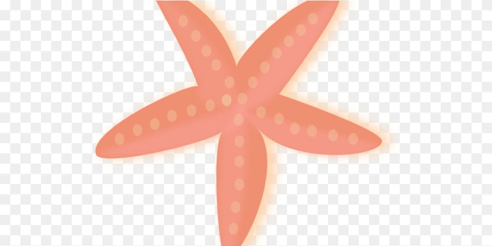 Starfish Clipart Startfish Starfish Cartoon Lovely, Animal, Sea Life, Invertebrate Free Transparent Png