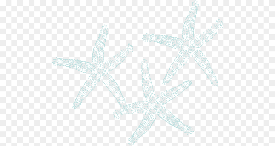 Starfish Clipart Three Private Listing For Pam 2 Pair Custom Angela Style, Animal, Invertebrate, Sea Life Free Png