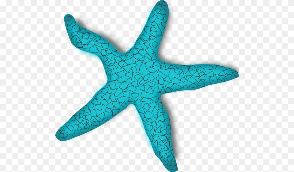 Starfish Clipart Turquoise Sea Star In Cartoon, Animal, Invertebrate, Sea Life, Fish Png