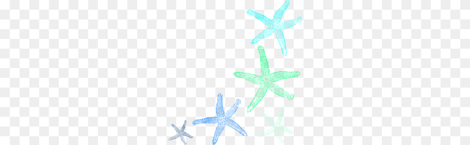 Starfish Cliparts, Animal, Invertebrate, Sea Life, Person Png