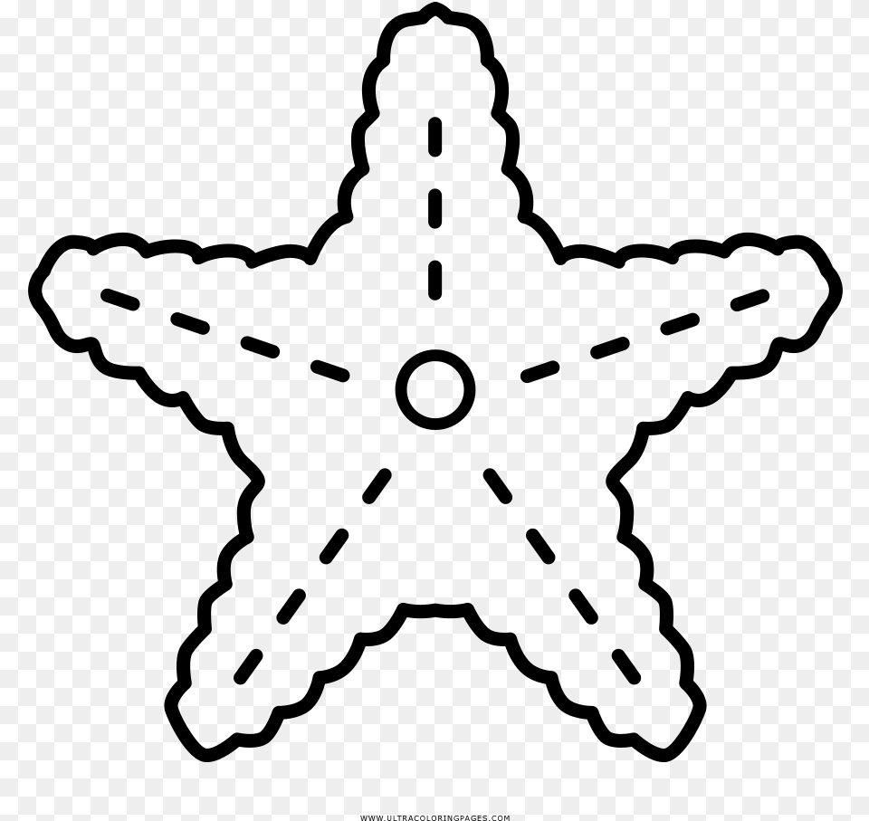 Starfish Coloring, Gray Free Png