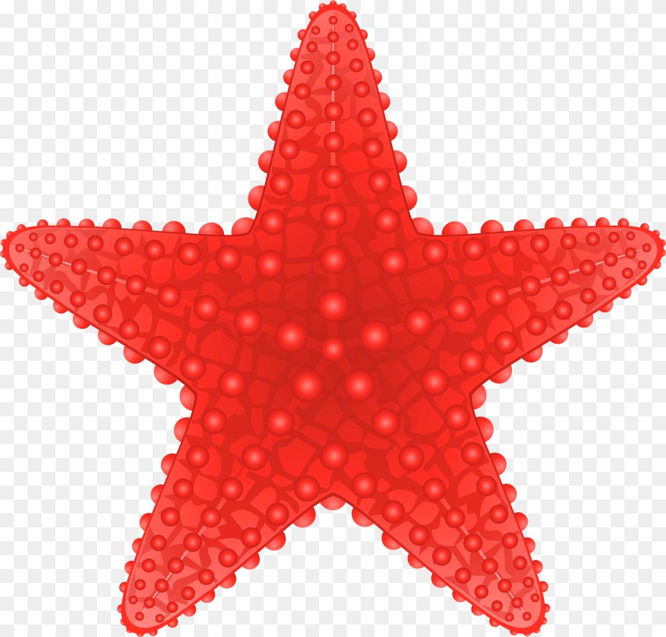 Starfish Cute Clipart Best On Poster Mathematics Around Us Free Transparent Png