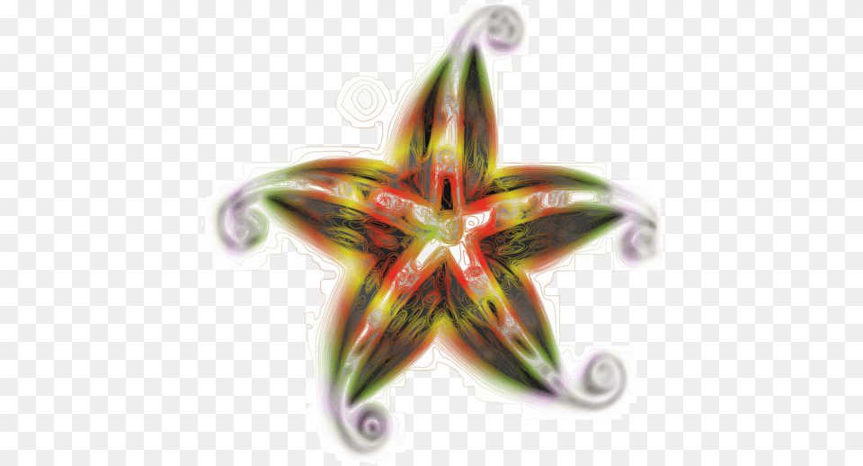Starfish Presentation Library Icon, Art, Graphics, Symbol, Pattern Free Png Download