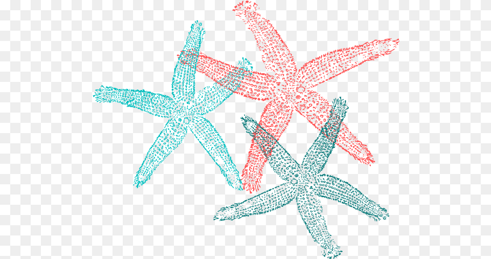 Starfish Drawing, Animal, Invertebrate, Sea Life, Plant Png Image