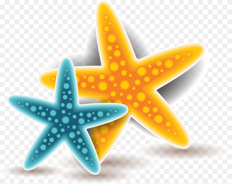 Starfish Euclidean Vector Portable Network Graphics, Animal, Sea Life, Invertebrate, Aircraft Png