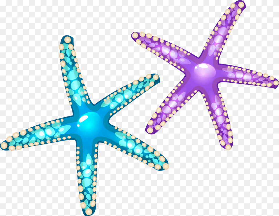 Starfish Euclidean Vector Seashell Purple And Blue Starfish, Animal, Sea Life Png Image