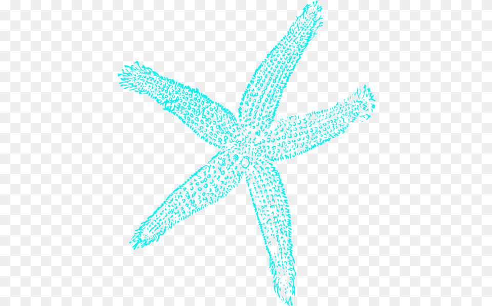 Starfish Fish Clip Art, Animal, Sea Life, Invertebrate, Plant Free Transparent Png