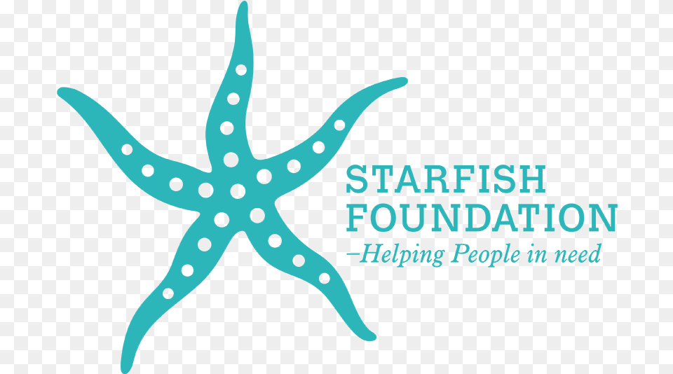 Starfish Foundation Starfish, Animal, Sea Life, Invertebrate, Dinosaur Png Image