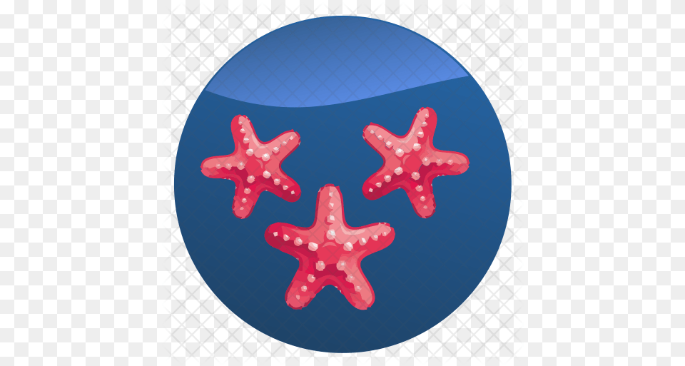 Starfish Icon Starfish, Animal, Sea Life Png Image