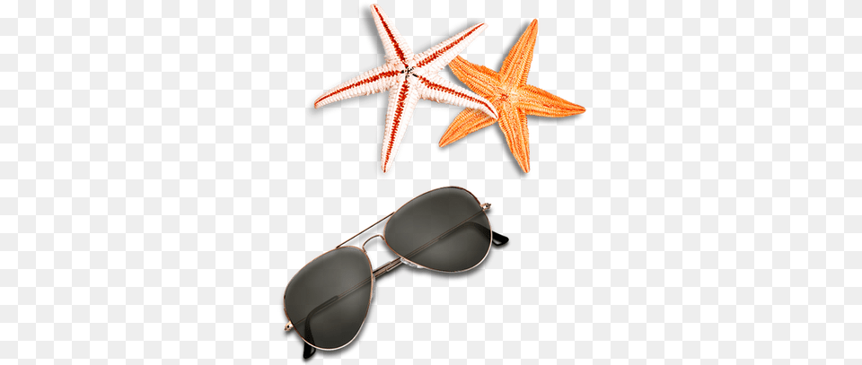 Starfish Images Clipart Beach Elements, Accessories, Sunglasses, Animal, Sea Life Free Transparent Png