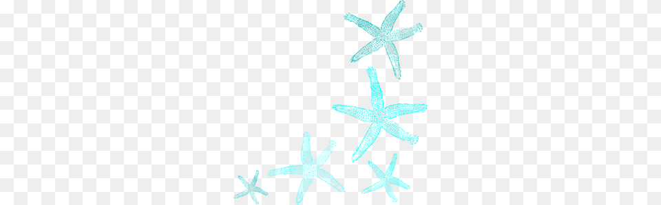 Starfish Images Icon Cliparts, Animal, Sea Life, Invertebrate Free Transparent Png