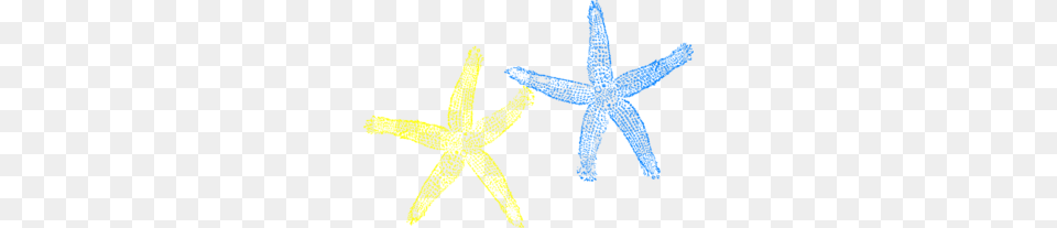 Starfish Love, Animal, Sea Life, Invertebrate, Person Free Transparent Png