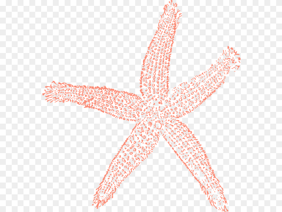Starfish Ocean Water Close Up Imprint Trace Shape Coral Starfish Clipart, Animal, Sea Life, Invertebrate, Dinosaur Png Image