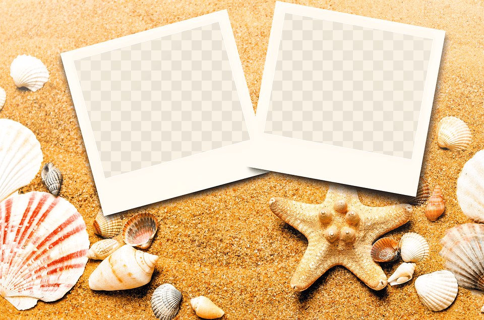 Starfish Ppt Background, Animal, Clam, Food, Invertebrate Free Transparent Png