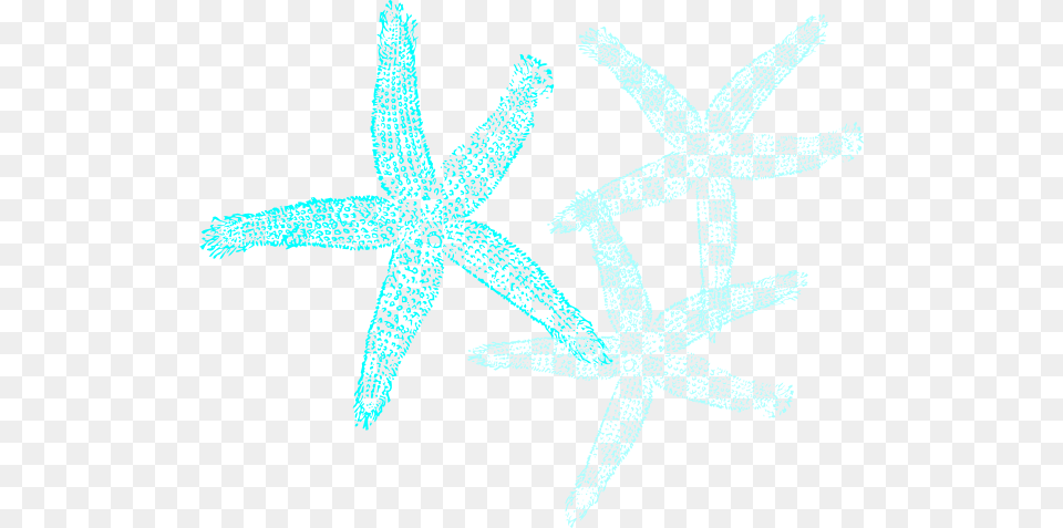 Starfish Prints Clip Art, Animal, Invertebrate, Sea Life, Person Png