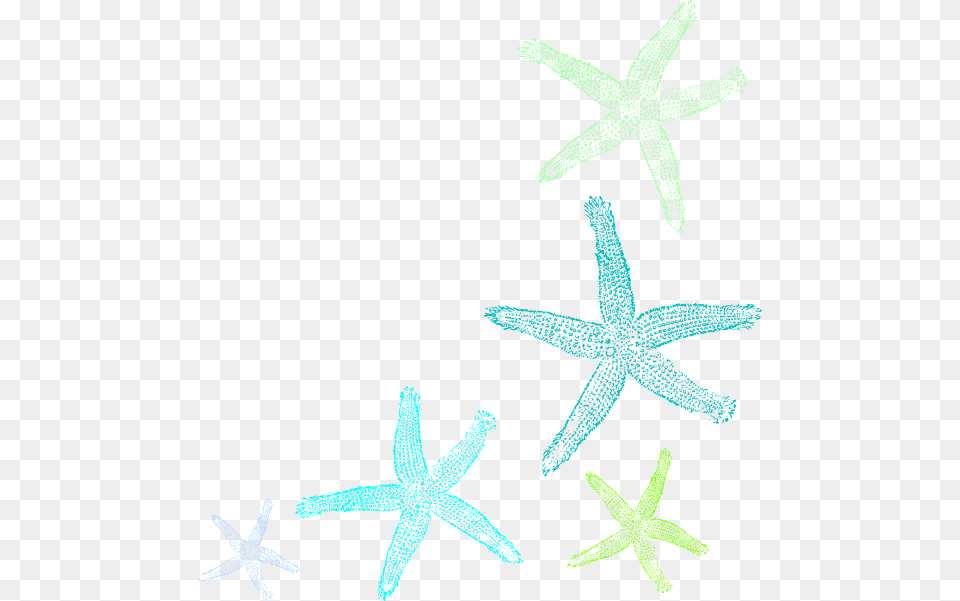 Starfish Prints Clip Art At Clker Star Fish Art Animal, Invertebrate, Sea Life Free Transparent Png