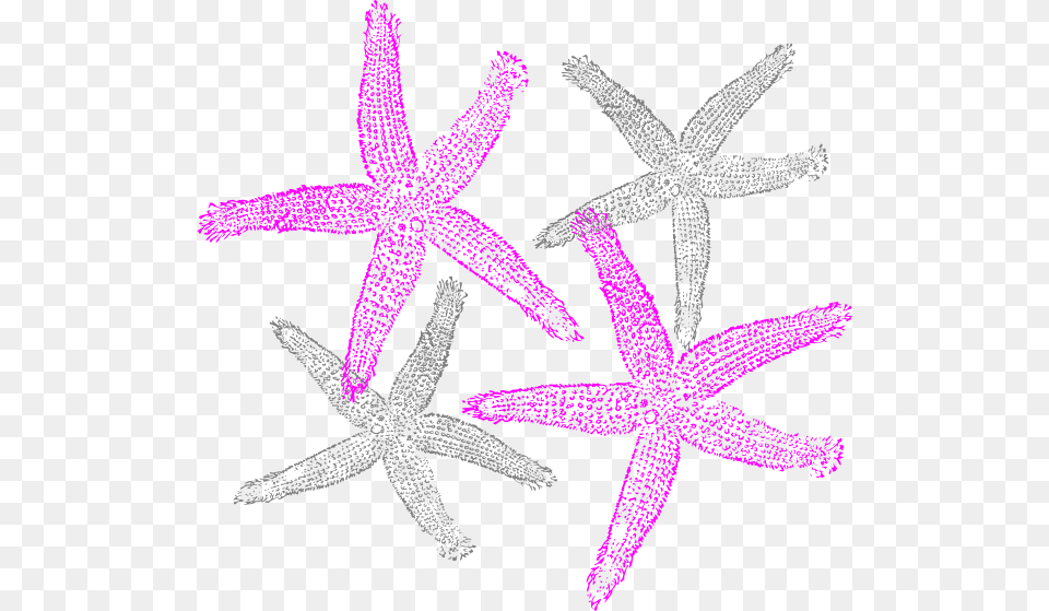 Starfish Prints Svg Clip Arts Clipart Star Fish, Animal, Invertebrate, Sea Life Free Png Download