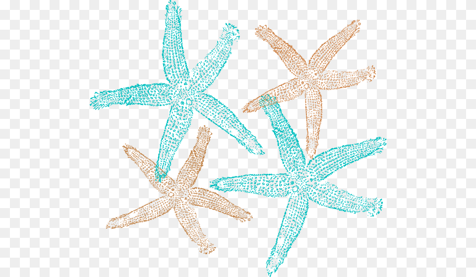 Starfish Prints Svg Clip Arts Shell Starfish Clip Art, Animal, Invertebrate, Sea Life, Kangaroo Free Png Download