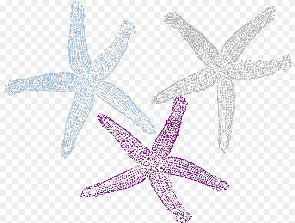 Starfish Prints Svg Clip Arts Starfish, Animal, Invertebrate, Sea Life, Plant Free Transparent Png