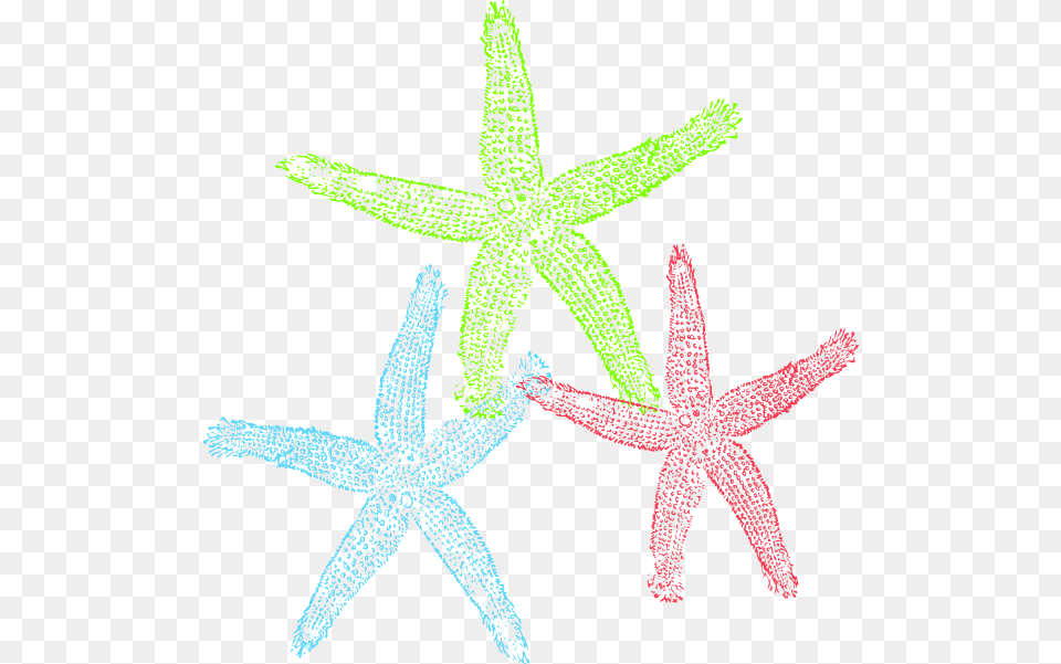 Starfish Public Domain Clipart Starfish Clip Art, Animal, Sea Life, Invertebrate, Cross Free Png