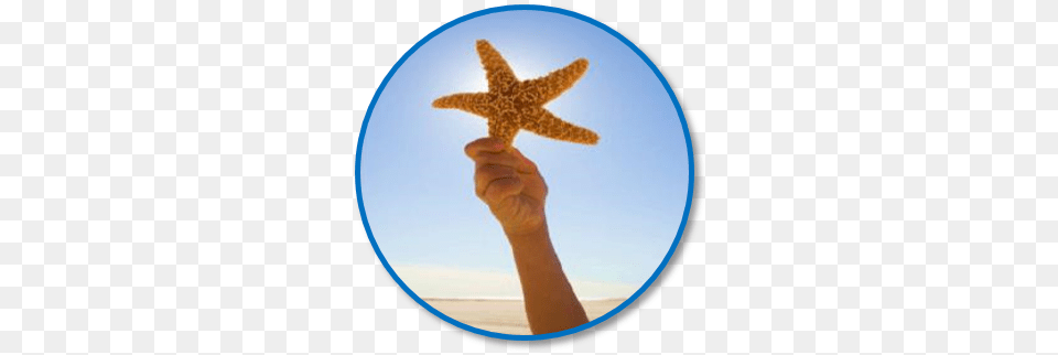 Starfish Retention Solutions, Photography, Animal, Sea Life, Invertebrate Png