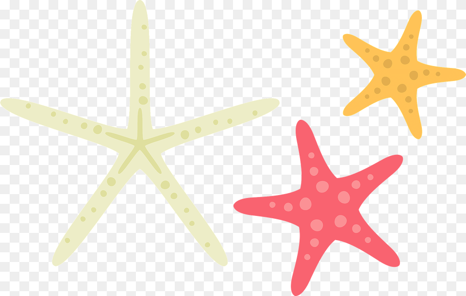 Starfish Sea Stars Clipart, Animal, Sea Life, Invertebrate, Knife Free Transparent Png