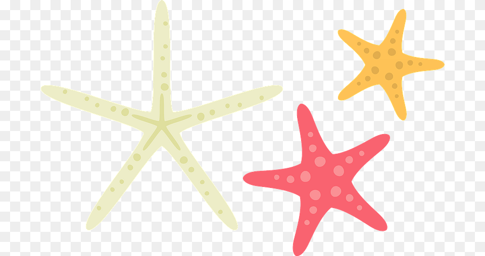 Starfish Sea Stars Clipart Starfish, Animal, Sea Life, Invertebrate, Knife Free Transparent Png