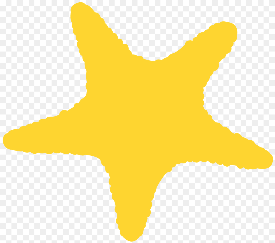 Starfish Silhouette, Animal, Sea Life, Invertebrate, Person Png Image
