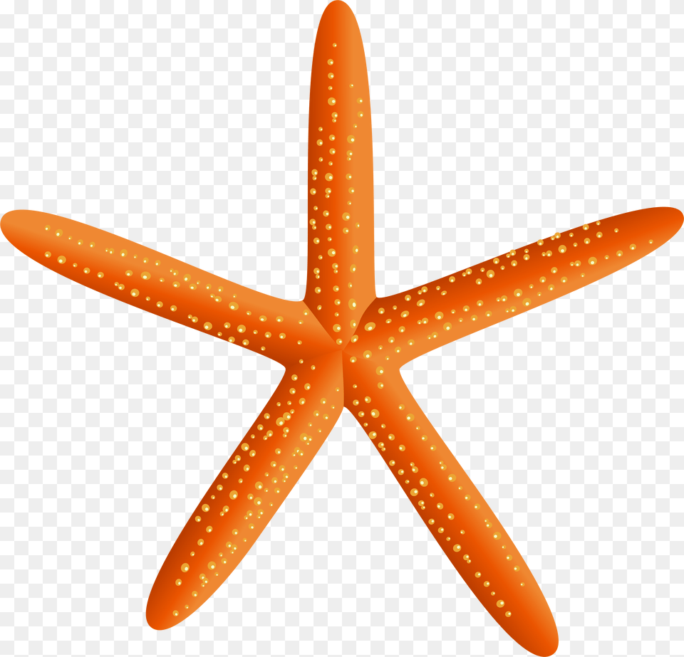 Starfish Silhouette, Animal, Sea Life, Invertebrate, Fish Free Png Download