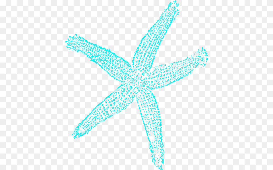 Starfish Starfish, Animal, Sea Life, Invertebrate, Plant Png