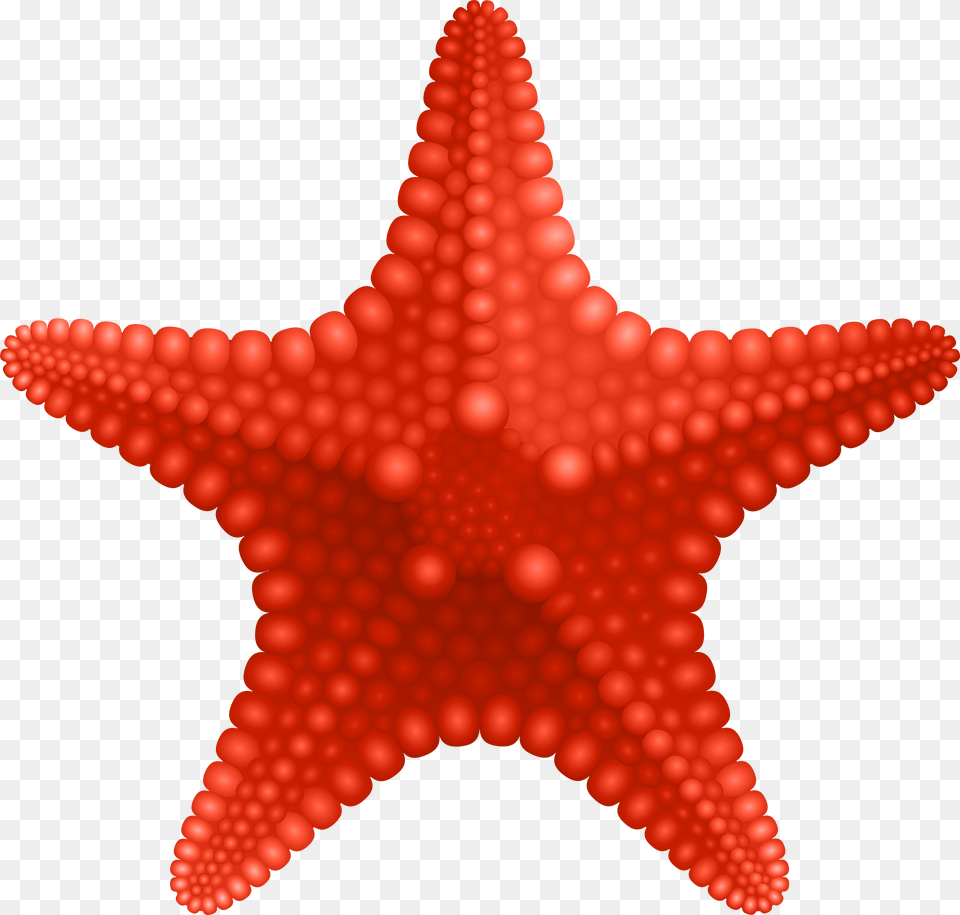 Starfish Transparent Free Png