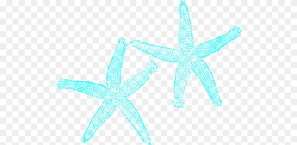 Starfish White Starfish Clip Art, Animal, Invertebrate, Sea Life Png Image